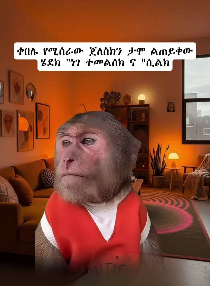 a monkey with a red shirt and a white shirt